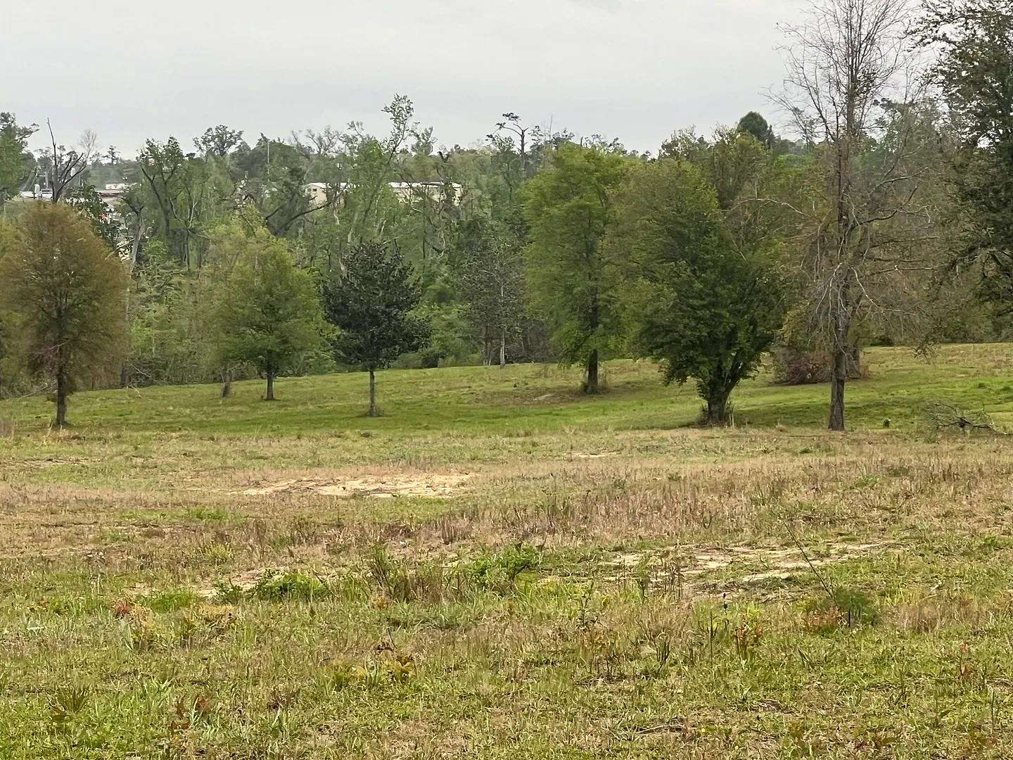 23.87 Acres of Land for Sale in Marianna, Florida