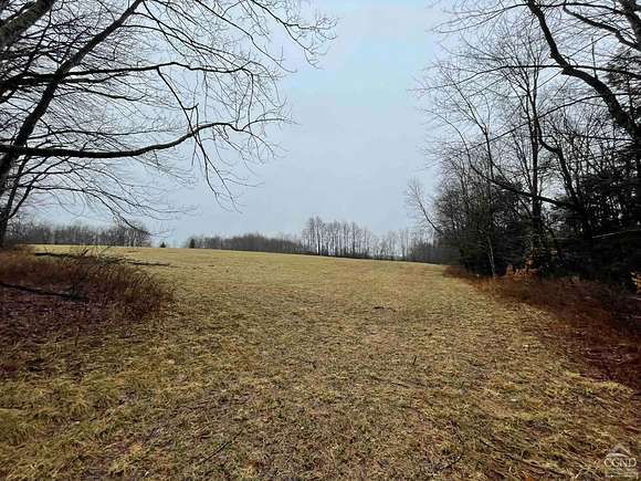 51.2 Acres of Land for Sale in Liberty, New York