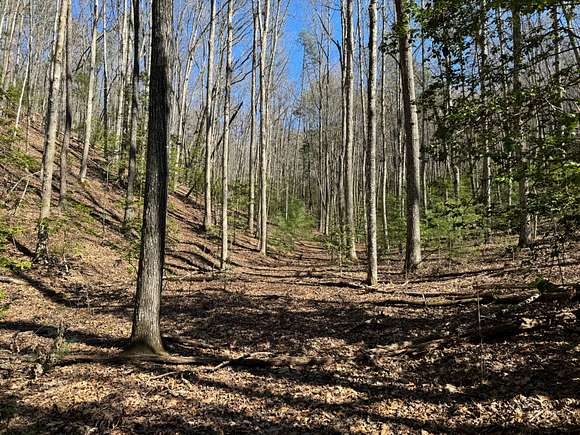 104 Acres of Recreational Land for Sale in Blairsville, Georgia
