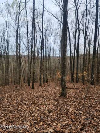 25 Acres of Land for Sale in Ten Mile, Tennessee