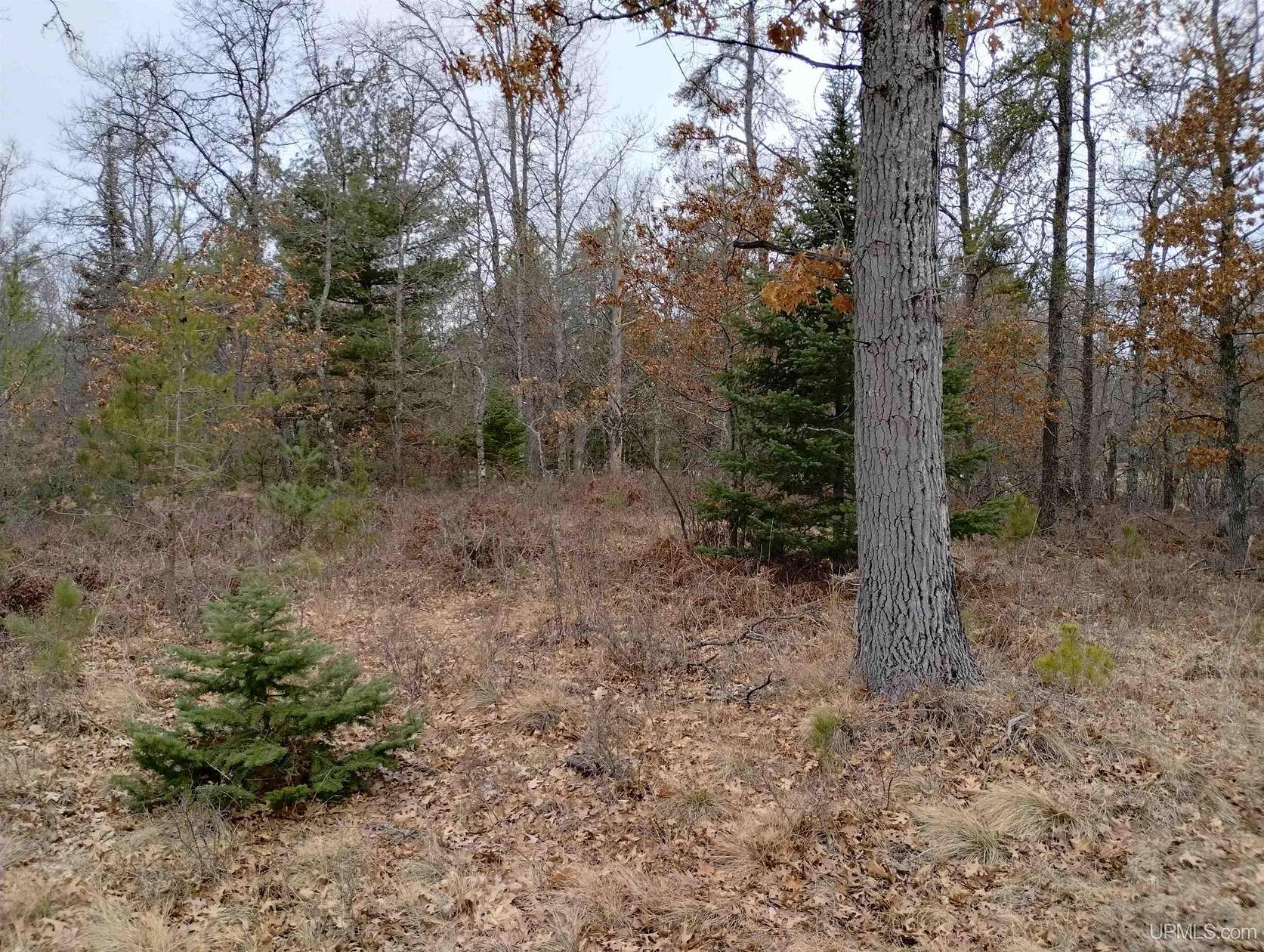 0.7 Acres of Residential Land for Sale in Rapid River, Michigan
