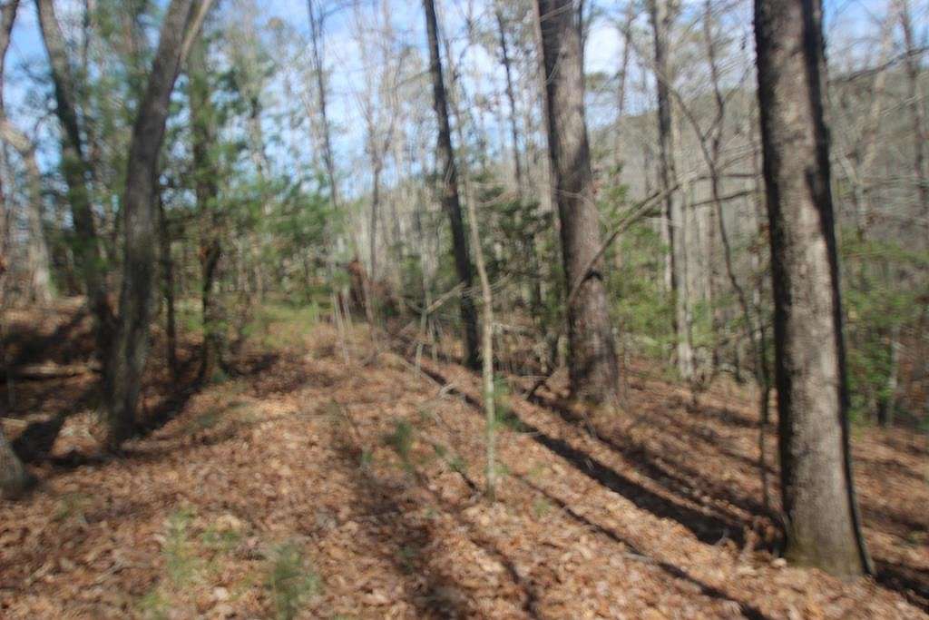 3.6 Acres of Land for Sale in Ellijay, Georgia