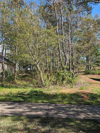 0.2 Acres of Land for Sale in Blythewood, South Carolina