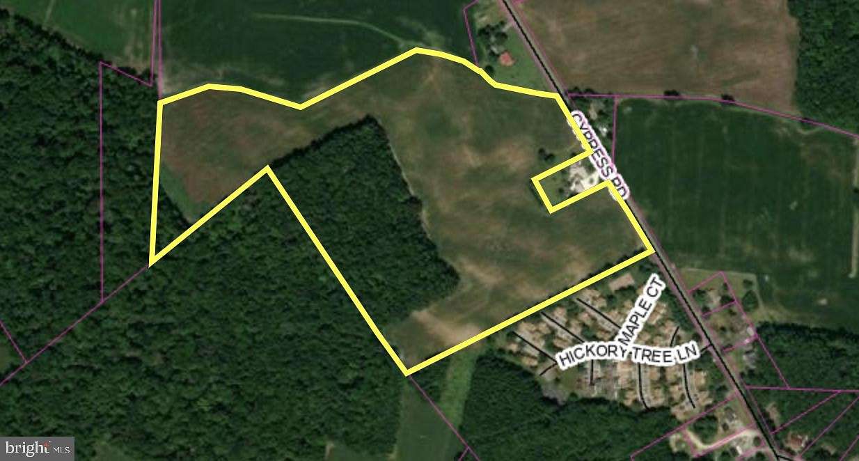 39.8 Acres of Commercial Land for Sale in Selbyville, Delaware