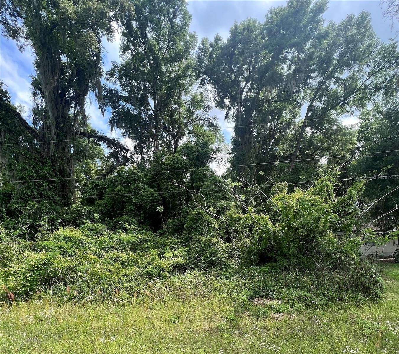 0.38 Acres of Residential Land for Sale in Belleview, Florida
