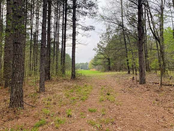 81.4 Acres of Recreational Land for Sale in Gurdon, Arkansas