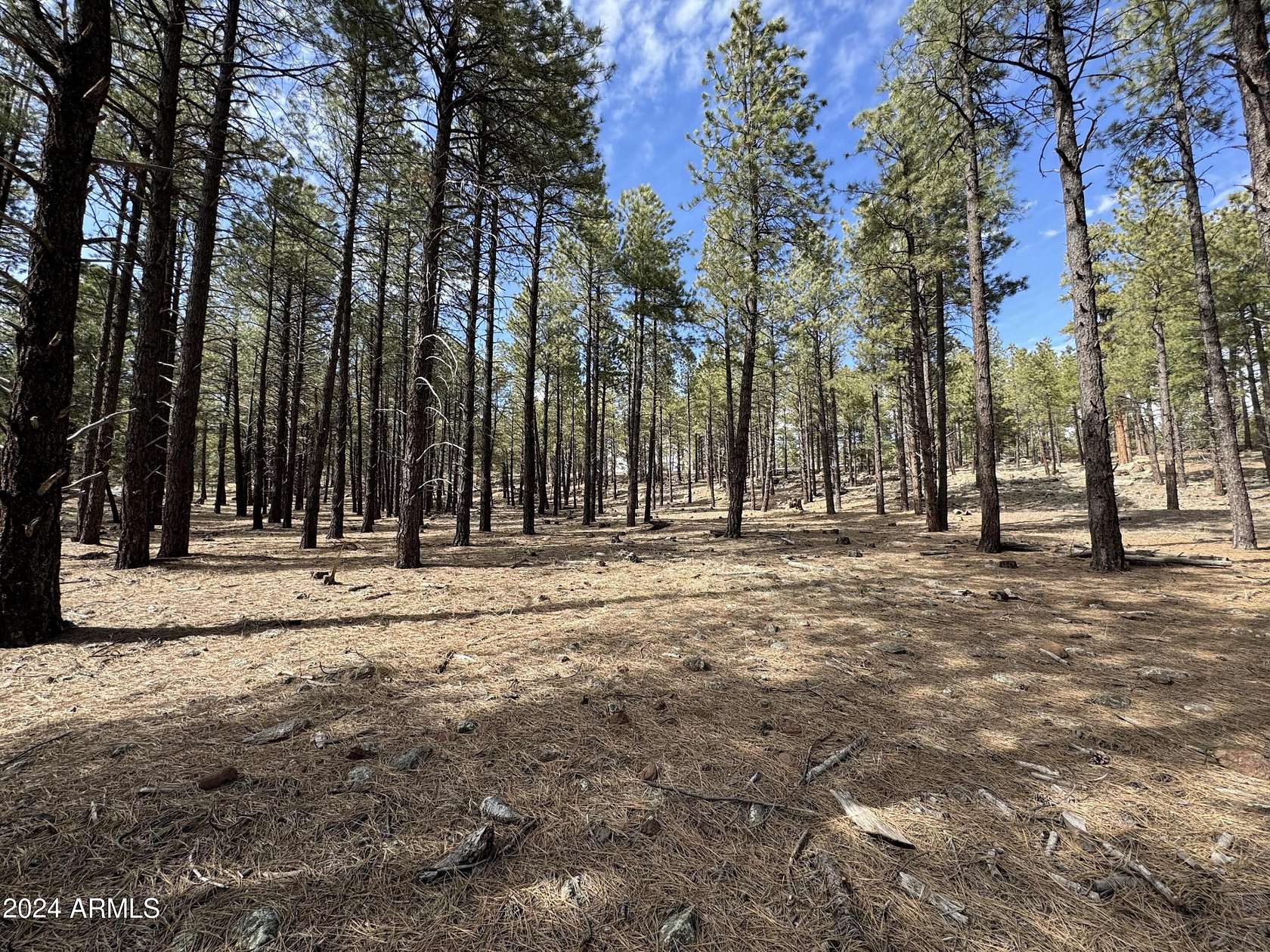 2 Acres of Land for Sale in Flagstaff, Arizona