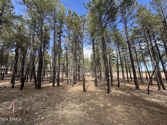 2 Acres of Land for Sale in Flagstaff, Arizona - LandSearch