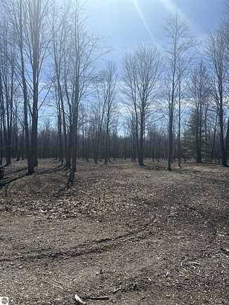 10.2 Acres of Recreational Land for Sale in Shepherd, Michigan