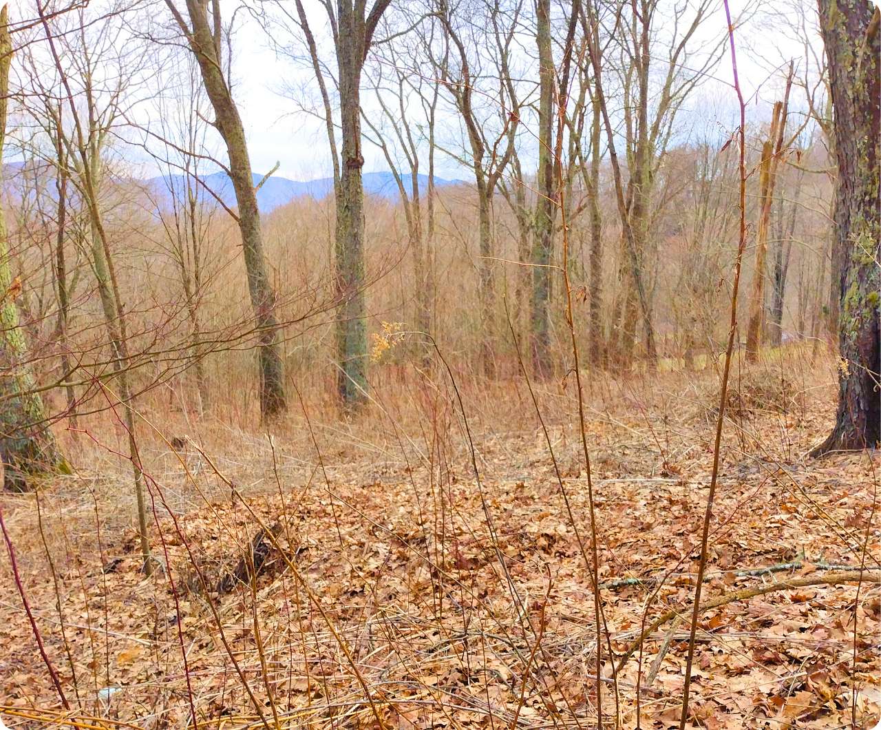 0.98 Acres of Residential Land for Sale in Waynesville, North Carolina