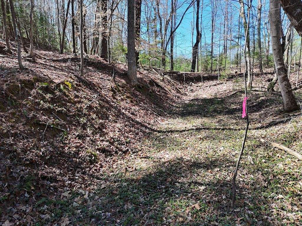 0.913 Acres of Residential Land for Sale in Blairsville, Georgia