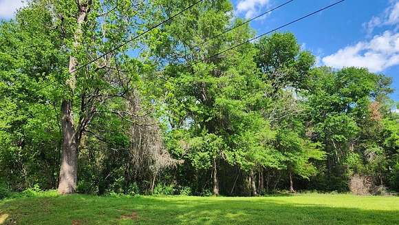 0.18 Acres of Land for Sale in Palestine, Texas