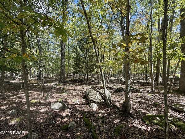 0.51 Acres of Residential Land for Sale in Tafton, Pennsylvania