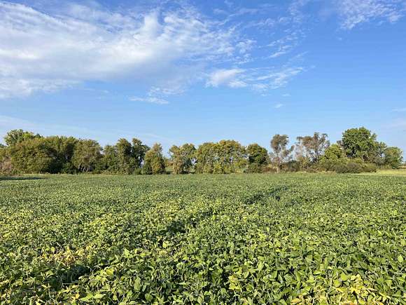 9.3 Acres of Agricultural Land for Sale in Manawa, Wisconsin
