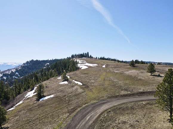 22.4 Acres of Land for Sale in White Bird, Idaho