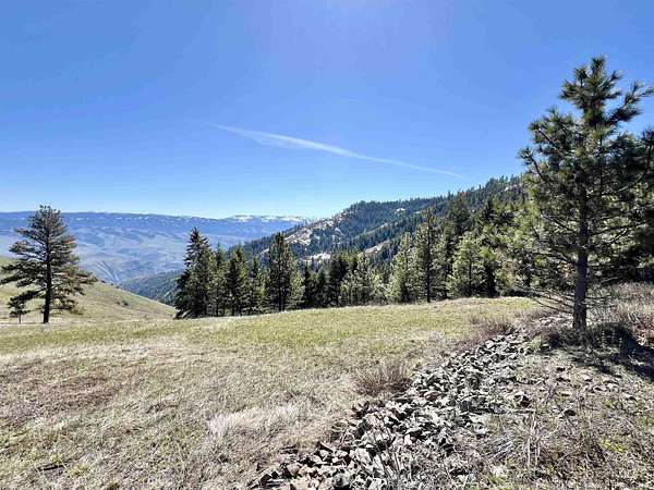 22.4 Acres of Land for Sale in White Bird, Idaho