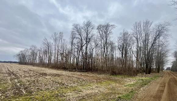 12 Acres of Recreational Land for Sale in Berrien Center, Michigan