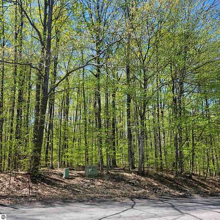 0.32 Acres of Land for Sale in Bellaire, Michigan
