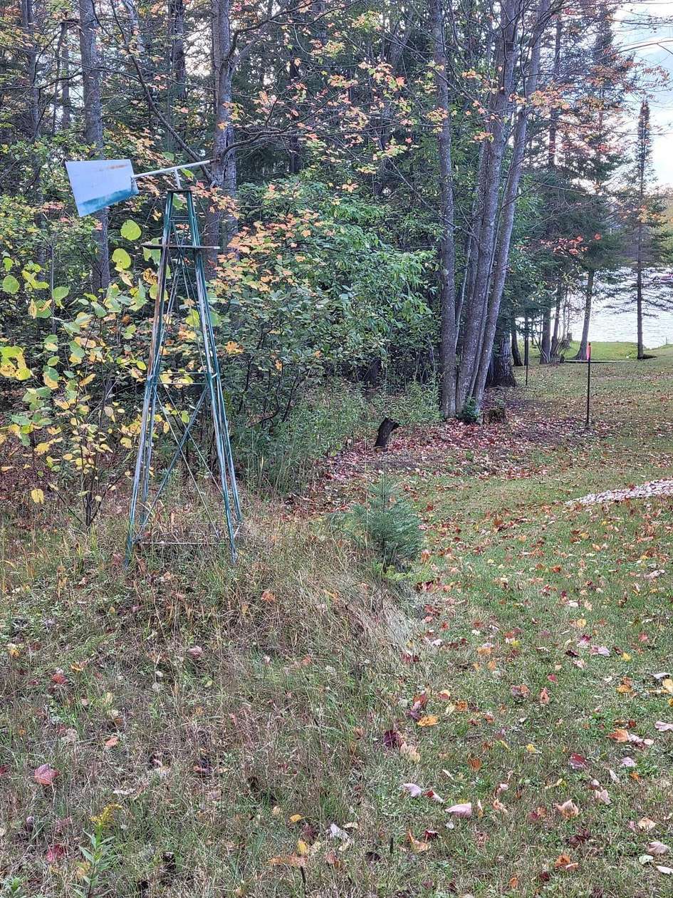 0.63 Acres of Residential Land for Sale in Wolverine, Michigan