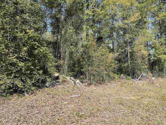 0.3 Acres of Land for Sale in Monetta, South Carolina