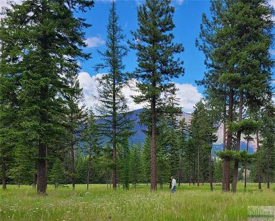 3.3 Acres of Residential Land for Sale in Thompson Falls, Montana