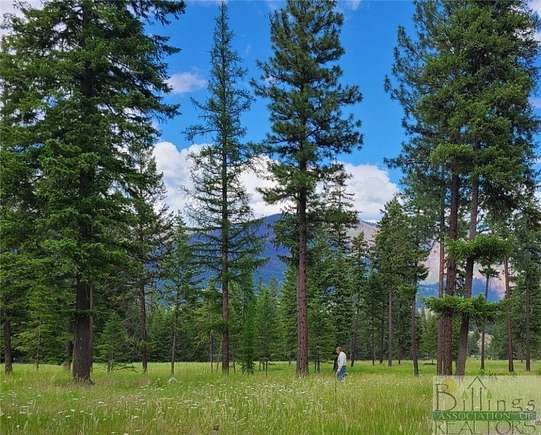 3.33 Acres of Residential Land for Sale in Thompson Falls, Montana