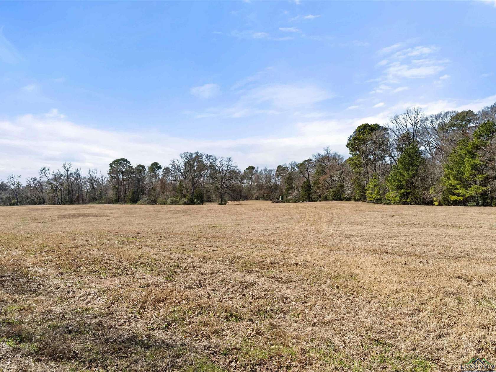 37.4 Acres of Agricultural Land for Sale in Gilmer, Texas
