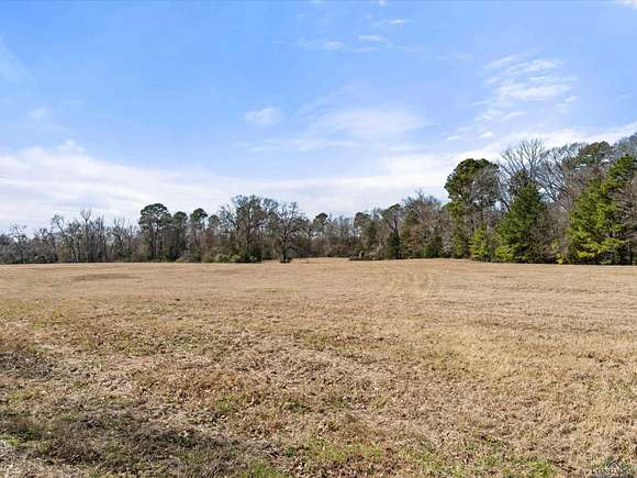 37.4 Acres of Land for Sale in Gilmer, Texas