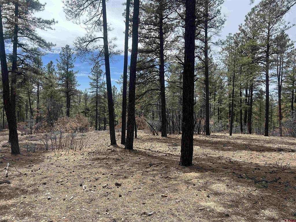 3.4 Acres of Residential Land for Sale in Pagosa Springs, Colorado