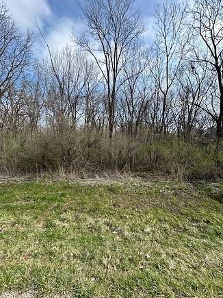 Residential Land for Sale in Putnam, Illinois