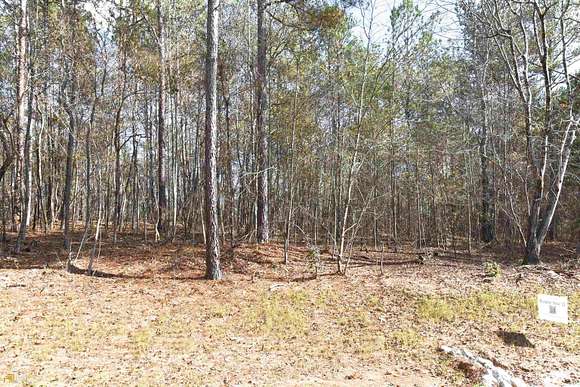 15.4 Acres of Land for Sale in Grantville, Georgia