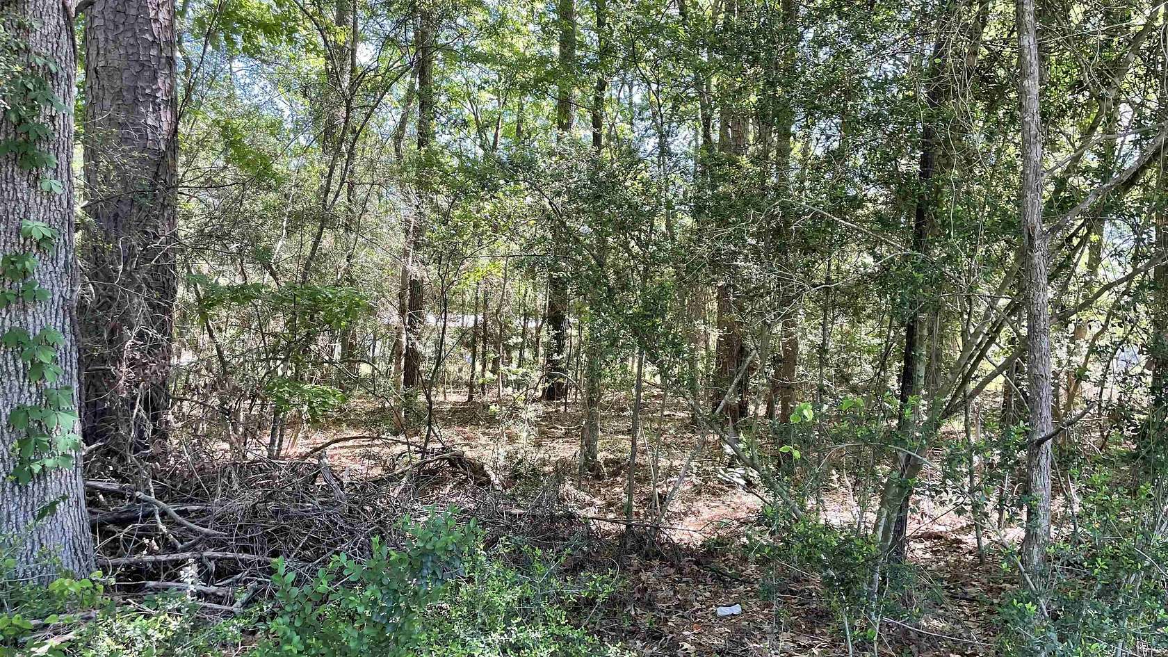 0.47 Acres of Residential Land for Sale in Milam, Texas