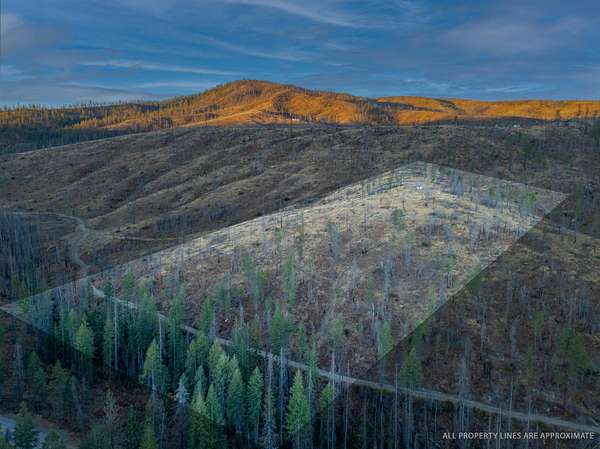 21 Acres of Recreational Land for Sale in Springdale, Washington