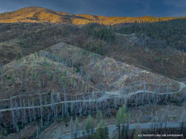 21.2 Acres of Recreational Land for Sale in Springdale, Washington