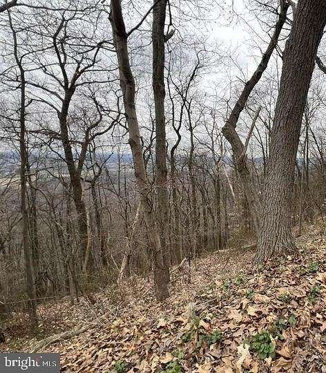 10 Acres of Residential Land for Sale in New Tripoli, Pennsylvania