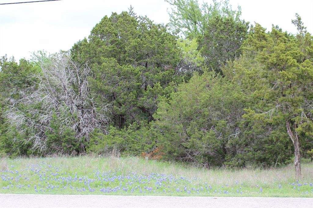0.5 Acres of Land for Sale in Whitney, Texas