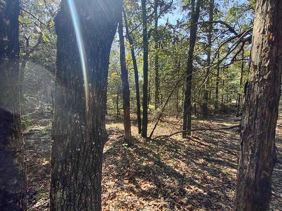 2.5 Acres of Residential Land for Sale in Cecil, Arkansas