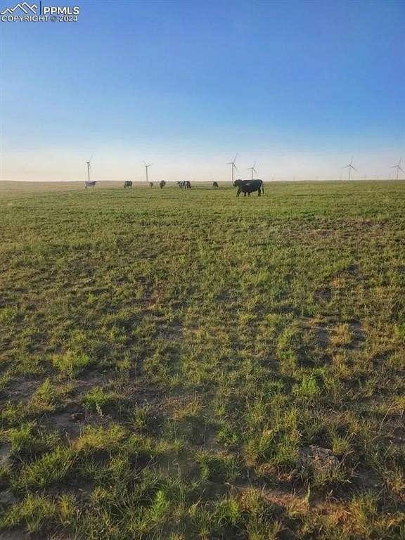 98.9 Acres of Agricultural Land for Sale in Matheson, Colorado