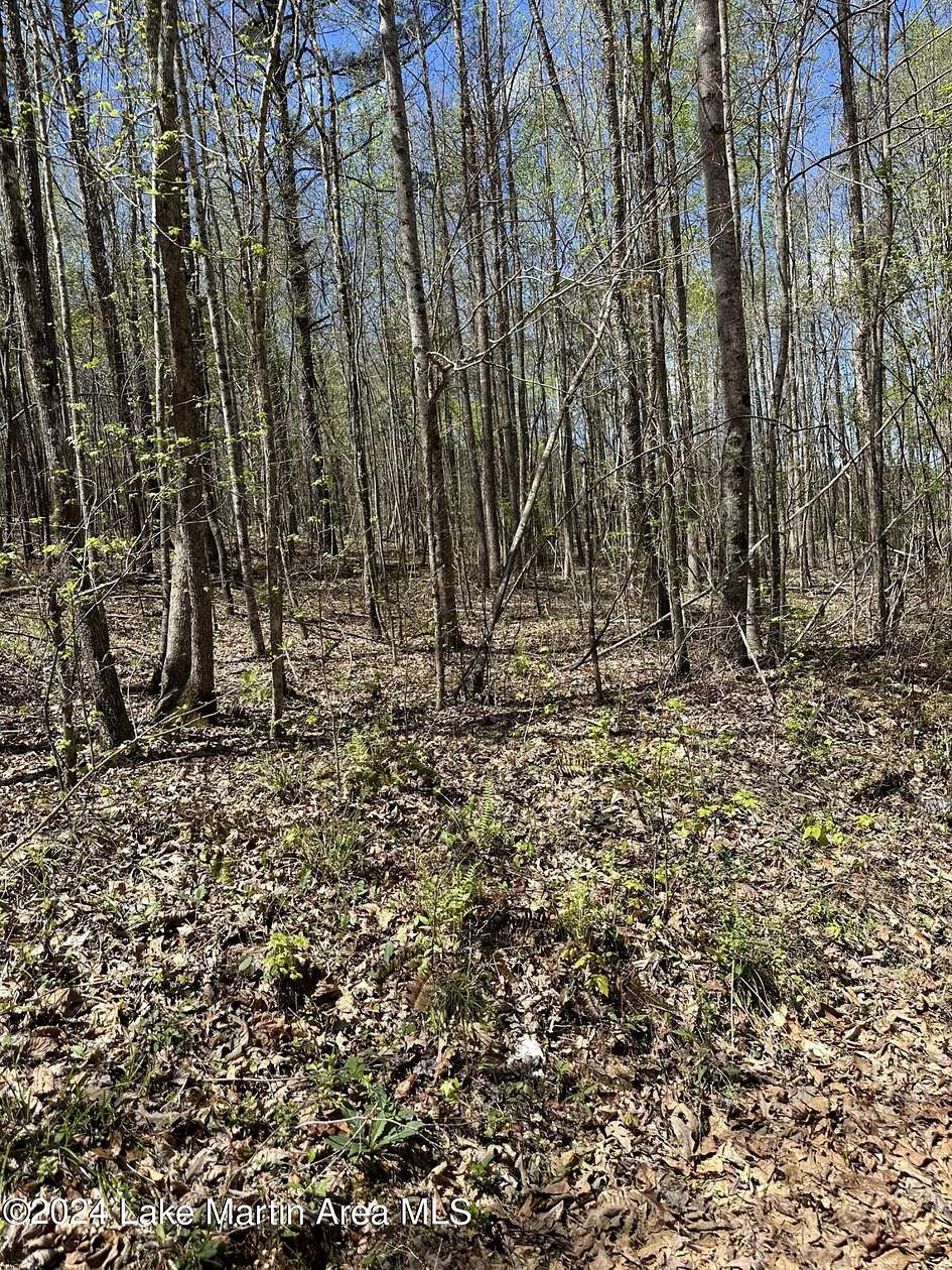 12 Acres of Recreational Land for Sale in Rockford, Alabama