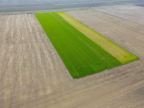 34 Acres of Agricultural Land for Sale in Arcola, Illinois
