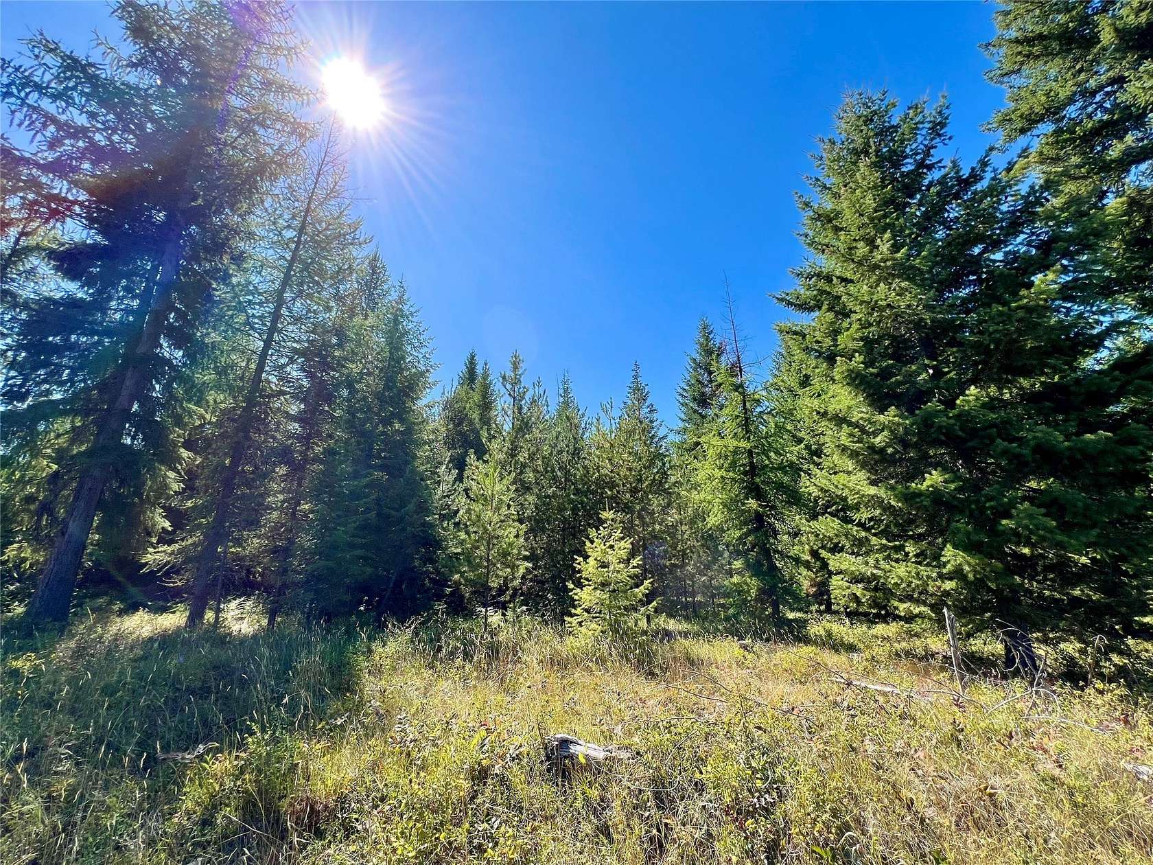 1.47 Acres of Residential Land for Sale in Trout Creek, Montana