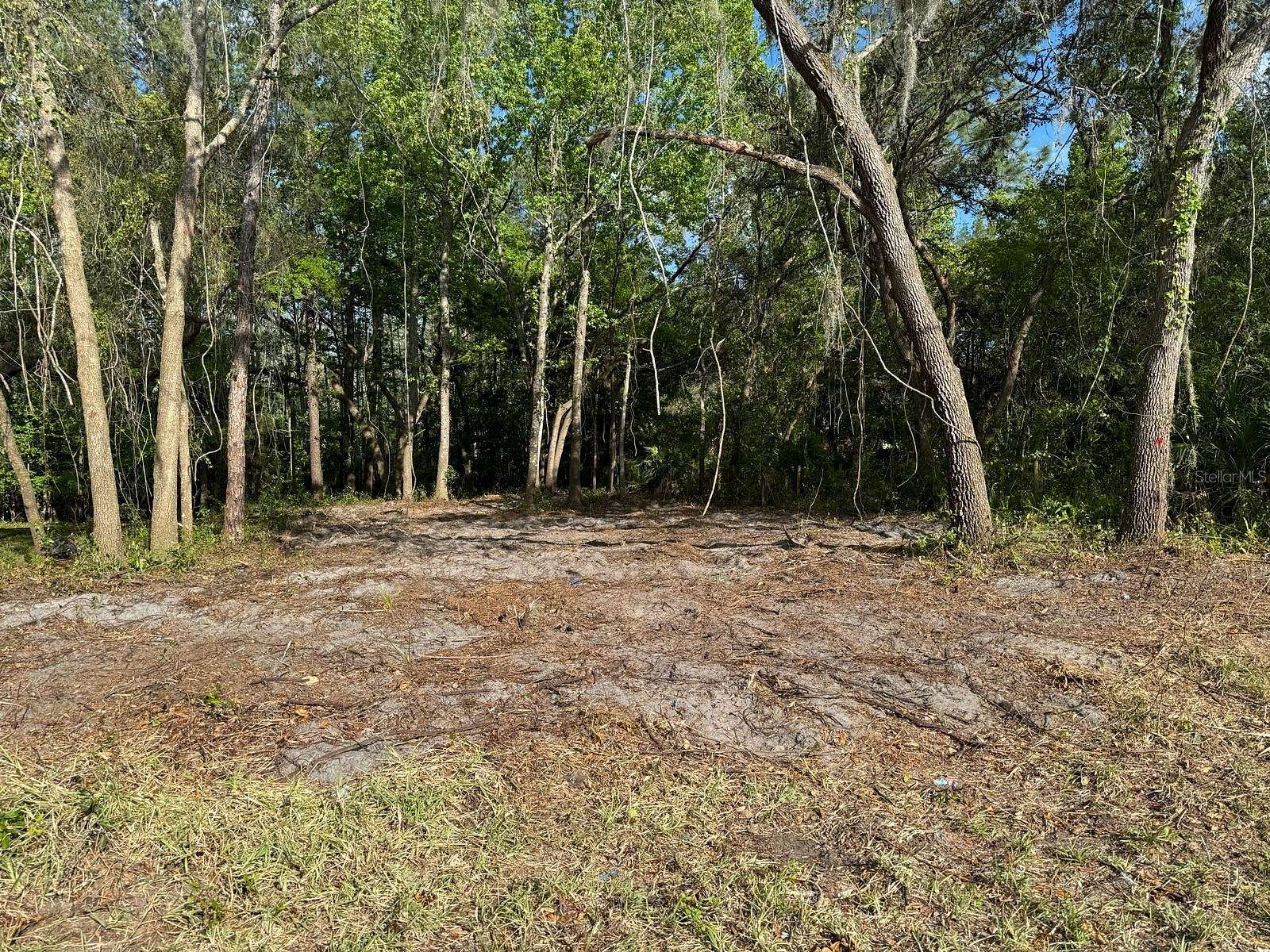0.19 Acres of Residential Land for Sale in New Port Richey, Florida
