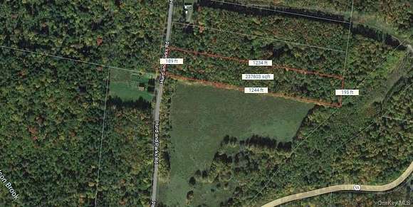 5.6 Acres of Residential Land for Sale in Bethel, New York