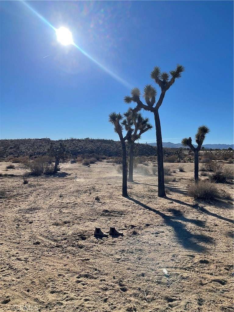 1.3 Acres of Residential Land for Sale in Yucca Valley, California