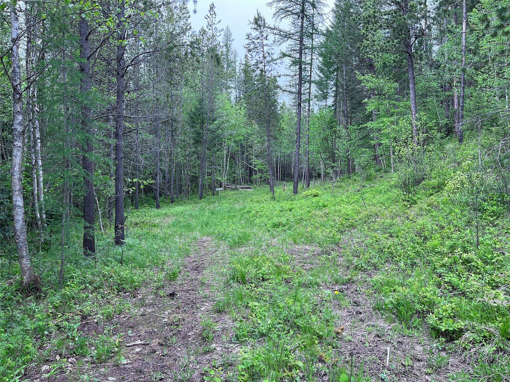 2.5 Acres of Residential Land for Sale in Columbia Falls, Montana