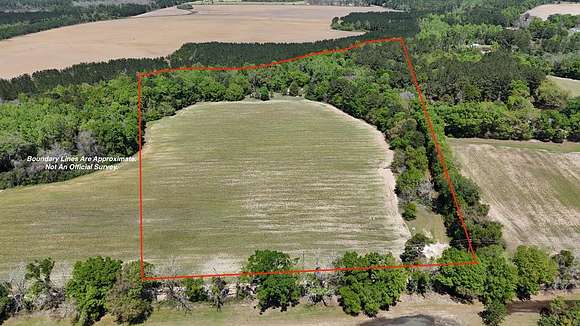 19.7 Acres of Land for Sale in Ochlocknee, Georgia