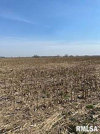 24 Acres of Agricultural Land for Sale in Toulon, Illinois