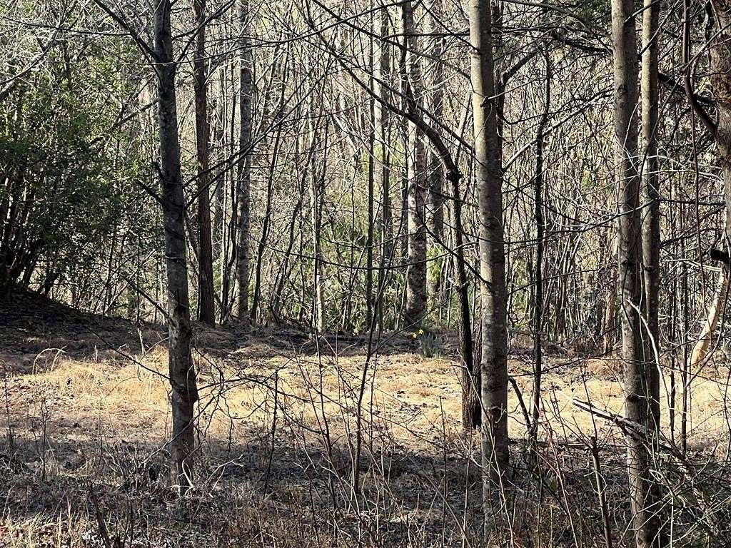 0.83 Acres of Residential Land for Sale in Hayesville, North Carolina