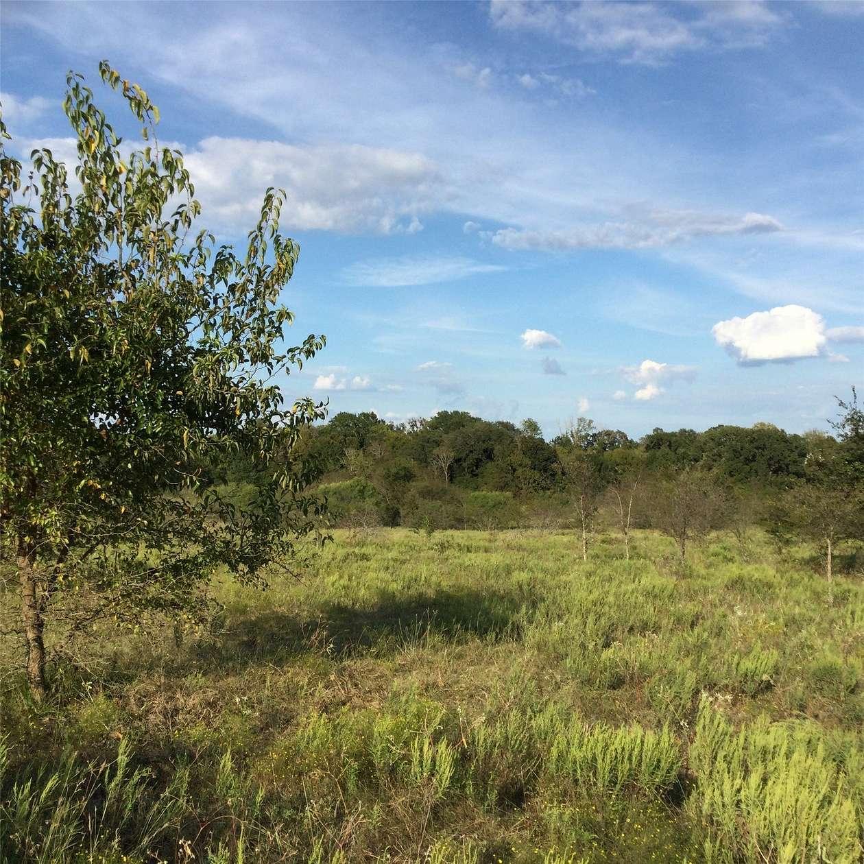 10.2 Acres of Land for Sale in Kerens, Texas