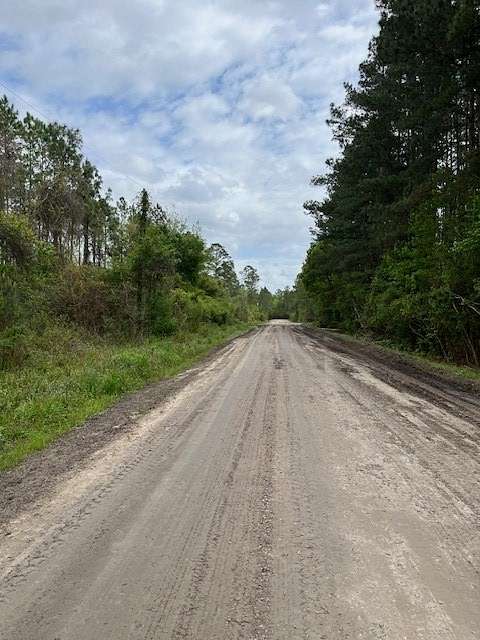 4 Acres of Residential Land for Sale in Manor, Georgia